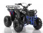 Apollo Kinderquad Commander 8 Zoll